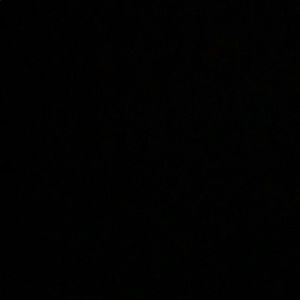 Meet your Posher, Allie